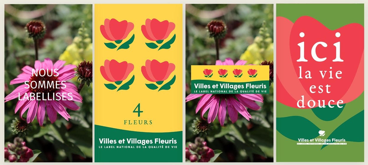 4 FLEURS